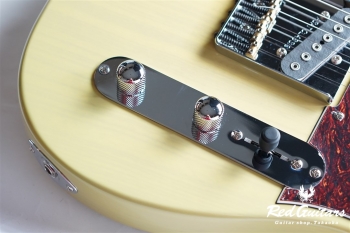 Tribute Series ASAT Classic Bluesboy Semi-Hollow - Blonde